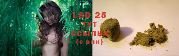 стафф Володарск