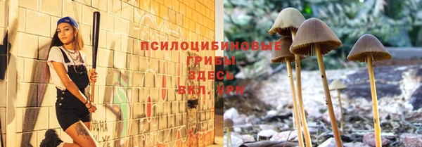 стафф Володарск