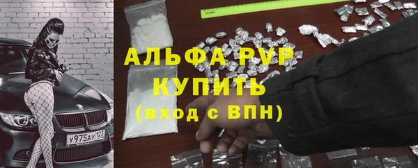 стафф Володарск