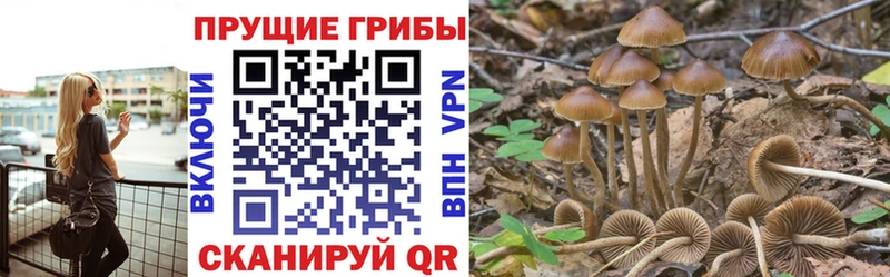 Галлюциногенные грибы Psilocybine cubensis  Купить закладки  Йошкар-Ола 